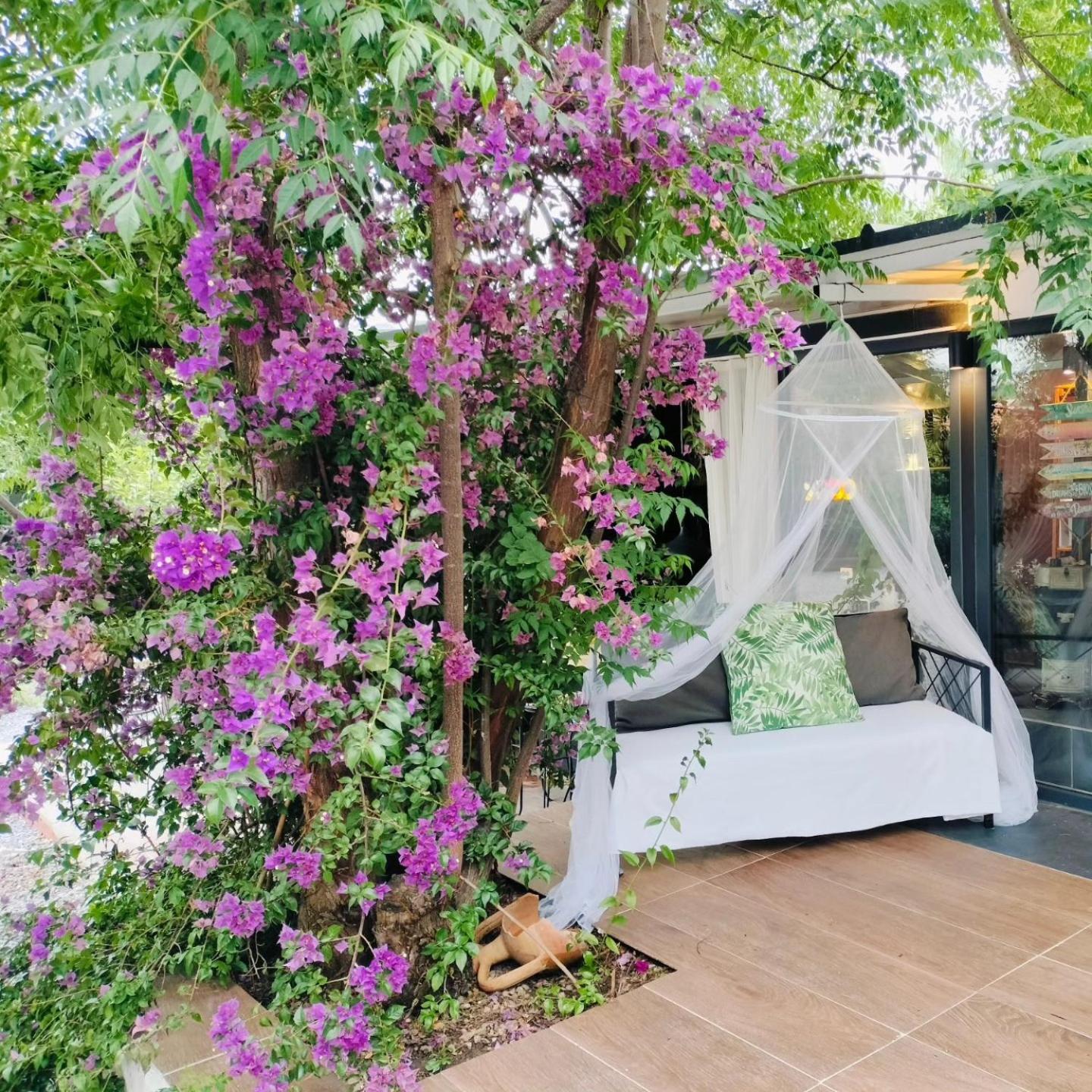 Baykus Guesthouse-Konukevi Soke Εξωτερικό φωτογραφία